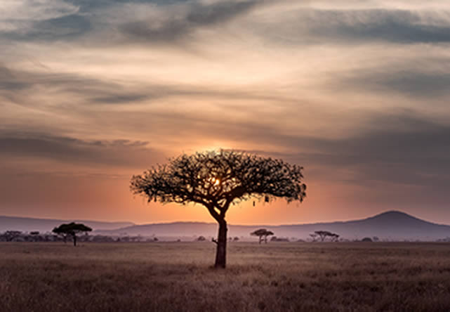 foto del tour a tanzania en español 2026