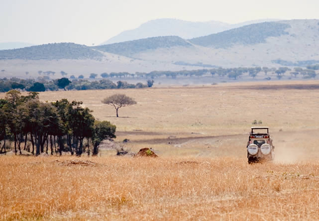 foto del tour a tanzania en español 2026
